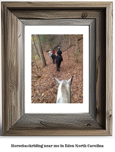 horseback riding near me in Eden, North Carolina